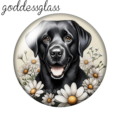 Niedliche Hunde unter den Blum – Vase Decor Bewertung und Preis